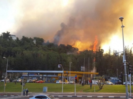 Масштабные пожары в Израиле: поджоги будут рассматривать как способ террора