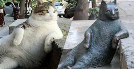 В Стамбуле установили памятник коту, ставшему героем интернет-мемов |  Европейская правда