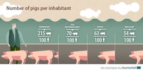 В Европе есть страна, в которой свиней в 2 раза больше, чем людей. Угадаете? 1